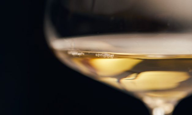Sauvignon Blanc er en tidløs klassisk hvidvin